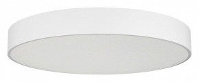 Накладной светильник Arlight TOR PILL 022132(4) в Кудымкаре - kudymkar.mebel24.online | фото