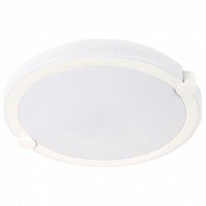 Накладной светильник Arte Lamp Biscotti A2679PL-72WH в Кудымкаре - kudymkar.mebel24.online | фото