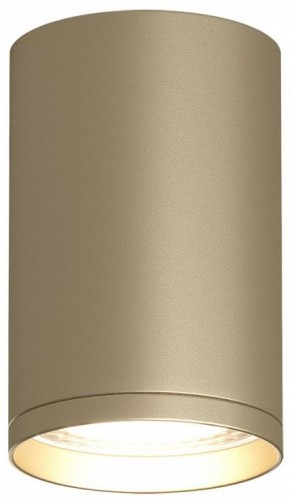 Накладной светильник Denkirs TUBE DK2050-SG в Кудымкаре - kudymkar.mebel24.online | фото 2