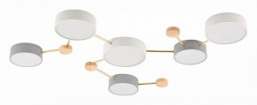 Накладной светильник EVOLUCE Dossena SLE600102-06 в Кудымкаре - kudymkar.mebel24.online | фото 2