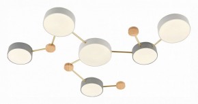 Накладной светильник EVOLUCE Dossena SLE600102-06 в Кудымкаре - kudymkar.mebel24.online | фото 3