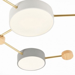 Накладной светильник EVOLUCE Dossena SLE600102-06 в Кудымкаре - kudymkar.mebel24.online | фото 4