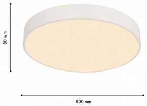 Накладной светильник F-promo Arena 4685-8C в Кудымкаре - kudymkar.mebel24.online | фото 6