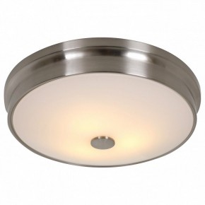 Накладной светильник Favourite Pannikin 2691-3C в Кудымкаре - kudymkar.mebel24.online | фото 2