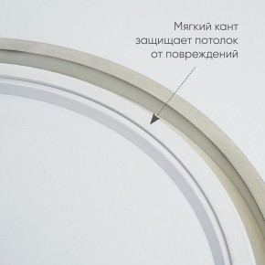 Накладной светильник Feron AL6200 48071 в Кудымкаре - kudymkar.mebel24.online | фото 5
