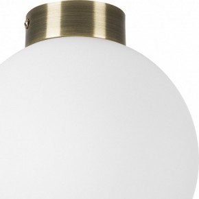Накладной светильник Lightstar Globo 812021 в Кудымкаре - kudymkar.mebel24.online | фото 3