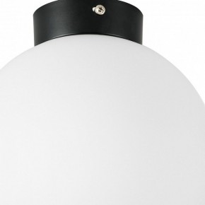 Накладной светильник Lightstar Globo 812027 в Кудымкаре - kudymkar.mebel24.online | фото 2