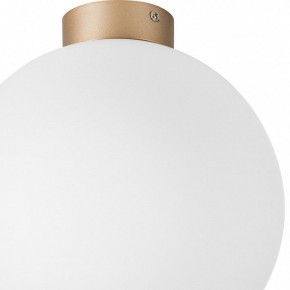 Накладной светильник Lightstar Globo 812033 в Кудымкаре - kudymkar.mebel24.online | фото 2