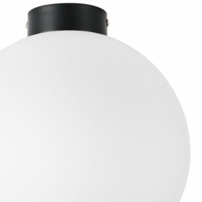 Накладной светильник Lightstar Globo 812037 в Кудымкаре - kudymkar.mebel24.online | фото 3