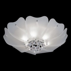 Накладной светильник Lightstar Lobo 804020 в Кудымкаре - kudymkar.mebel24.online | фото 2