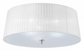 Накладной светильник Mantra Loewe 4640 в Кудымкаре - kudymkar.mebel24.online | фото 1