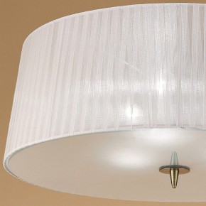 Накладной светильник Mantra Loewe 4740 в Кудымкаре - kudymkar.mebel24.online | фото 3