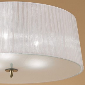 Накладной светильник Mantra Loewe 4740 в Кудымкаре - kudymkar.mebel24.online | фото 4