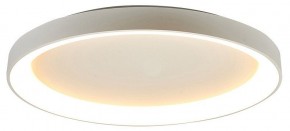 Накладной светильник Mantra Niseko 8637 в Кудымкаре - kudymkar.mebel24.online | фото