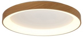 Накладной светильник Mantra Niseko 8644 в Кудымкаре - kudymkar.mebel24.online | фото