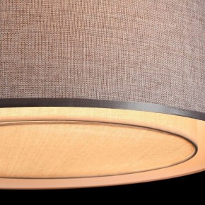 Накладной светильник Maytoni Bergamo MOD613CL-04GR в Кудымкаре - kudymkar.mebel24.online | фото 10