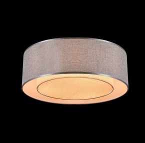 Накладной светильник Maytoni Bergamo MOD613CL-04GR в Кудымкаре - kudymkar.mebel24.online | фото 4