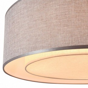 Накладной светильник Maytoni Bergamo MOD613CL-04GR в Кудымкаре - kudymkar.mebel24.online | фото 7