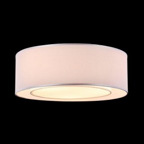 Накладной светильник Maytoni Bergamo MOD617CL-04GR в Кудымкаре - kudymkar.mebel24.online | фото 4