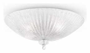 Накладной светильник Maytoni Bonnet C809CL-04CH в Кудымкаре - kudymkar.mebel24.online | фото 2
