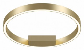 Накладной светильник Maytoni Rim MOD058CL-L25BSK в Кудымкаре - kudymkar.mebel24.online | фото 2