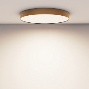 Накладной светильник Maytoni Zon C032CL-90W4K-RD-MG в Кудымкаре - kudymkar.mebel24.online | фото 4