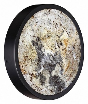 Накладной светильник Odeon Light Bergi 5064/15WL в Кудымкаре - kudymkar.mebel24.online | фото 7