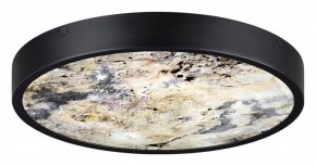 Накладной светильник Odeon Light Bergi 5064/30L в Кудымкаре - kudymkar.mebel24.online | фото 4
