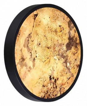 Накладной светильник Odeon Light Bergi 5064/30L в Кудымкаре - kudymkar.mebel24.online | фото 5
