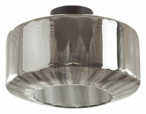 Накладной светильник Odeon Light Binga 4746/1C в Кудымкаре - kudymkar.mebel24.online | фото 2