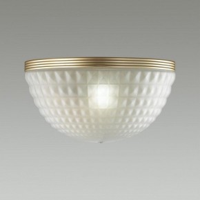 Накладной светильник Odeon Light Malaga 4936/1W в Кудымкаре - kudymkar.mebel24.online | фото 2