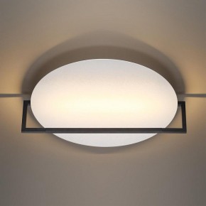 Накладной светильник Odeon Light Next 7015/20WL в Кудымкаре - kudymkar.mebel24.online | фото 2