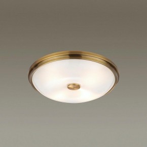 Накладной светильник Odeon Light Pelow 4956/4 в Кудымкаре - kudymkar.mebel24.online | фото 2