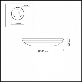 Накладной светильник Odeon Light Pelow 4956/4 в Кудымкаре - kudymkar.mebel24.online | фото 3
