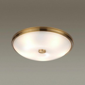 Накладной светильник Odeon Light Pelow 4956/5 в Кудымкаре - kudymkar.mebel24.online | фото 2