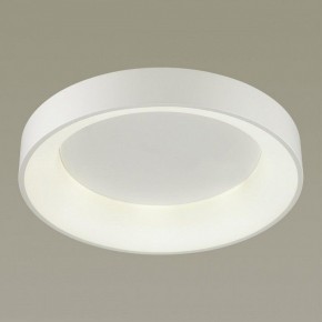 Накладной светильник Odeon Light Sole 4062/50CL в Кудымкаре - kudymkar.mebel24.online | фото 2
