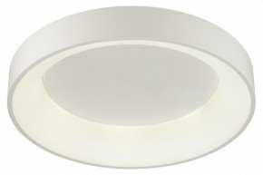 Накладной светильник Odeon Light Sole 4062/50CL в Кудымкаре - kudymkar.mebel24.online | фото 3