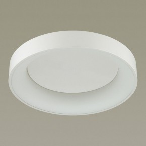 Накладной светильник Odeon Light Sole 4062/50CL в Кудымкаре - kudymkar.mebel24.online | фото 4