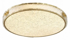 Накладной светильник Sonex Felice 7722/120L в Кудымкаре - kudymkar.mebel24.online | фото 3