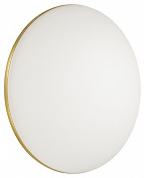 Накладной светильник Sonex Lassa 3043/DL в Кудымкаре - kudymkar.mebel24.online | фото 4