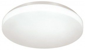 Накладной светильник Sonex Smalli 3050/CL в Кудымкаре - kudymkar.mebel24.online | фото 3