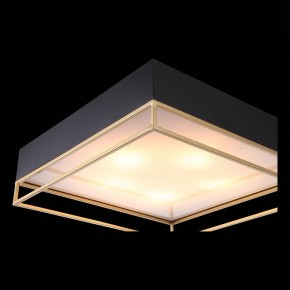 Накладной светильник ST-Luce Chodo SL1127.422.05 в Кудымкаре - kudymkar.mebel24.online | фото 11