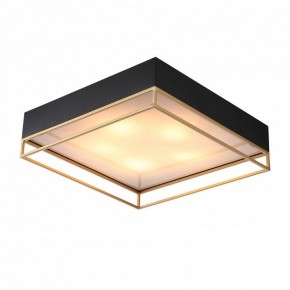Накладной светильник ST-Luce Chodo SL1127.422.05 в Кудымкаре - kudymkar.mebel24.online | фото 2