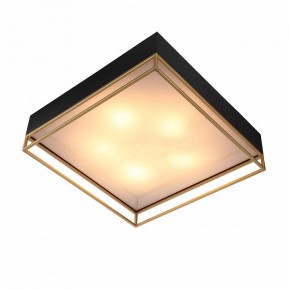 Накладной светильник ST-Luce Chodo SL1127.422.05 в Кудымкаре - kudymkar.mebel24.online | фото 3