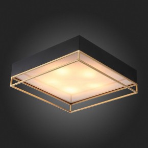 Накладной светильник ST-Luce Chodo SL1127.422.05 в Кудымкаре - kudymkar.mebel24.online | фото 4