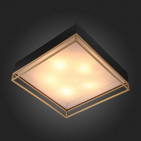 Накладной светильник ST-Luce Chodo SL1127.422.05 в Кудымкаре - kudymkar.mebel24.online | фото 6