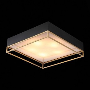 Накладной светильник ST-Luce Chodo SL1127.422.05 в Кудымкаре - kudymkar.mebel24.online | фото 7