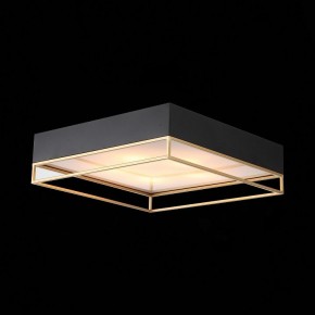 Накладной светильник ST-Luce Chodo SL1127.422.05 в Кудымкаре - kudymkar.mebel24.online | фото 8