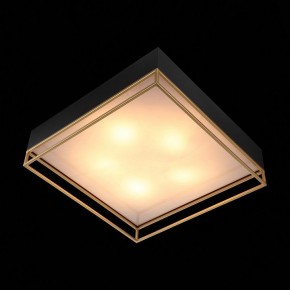 Накладной светильник ST-Luce Chodo SL1127.422.05 в Кудымкаре - kudymkar.mebel24.online | фото 9