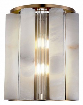 Накладной светильник ST-Luce Delight SL1516.301.02 в Кудымкаре - kudymkar.mebel24.online | фото 3